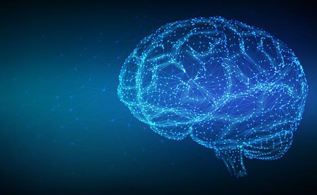 Bioforce Ces Kullanıcı Yorumları: Faydaları ve Kullanıcı Görüşleri